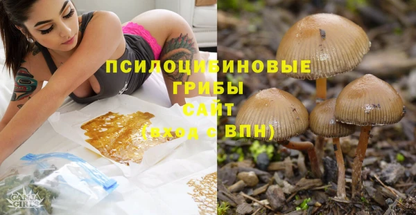 синтетический гашиш Богородицк
