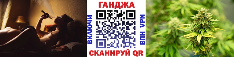 закладка  Михайлов  Конопля ГИДРОПОН 